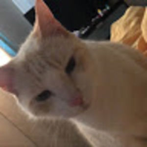 Meet your Posher, Samantha